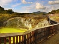 Green Thermal Lake, Rotorua, New Zealand Royalty Free Stock Photo